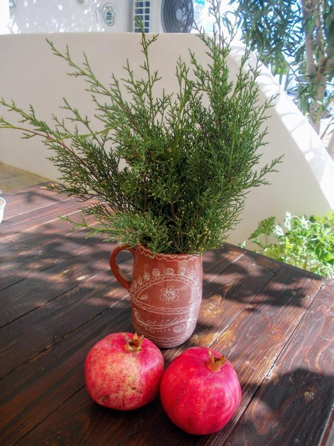Nyfes Traditional Boutique Frosyni Skyros Exterior foto