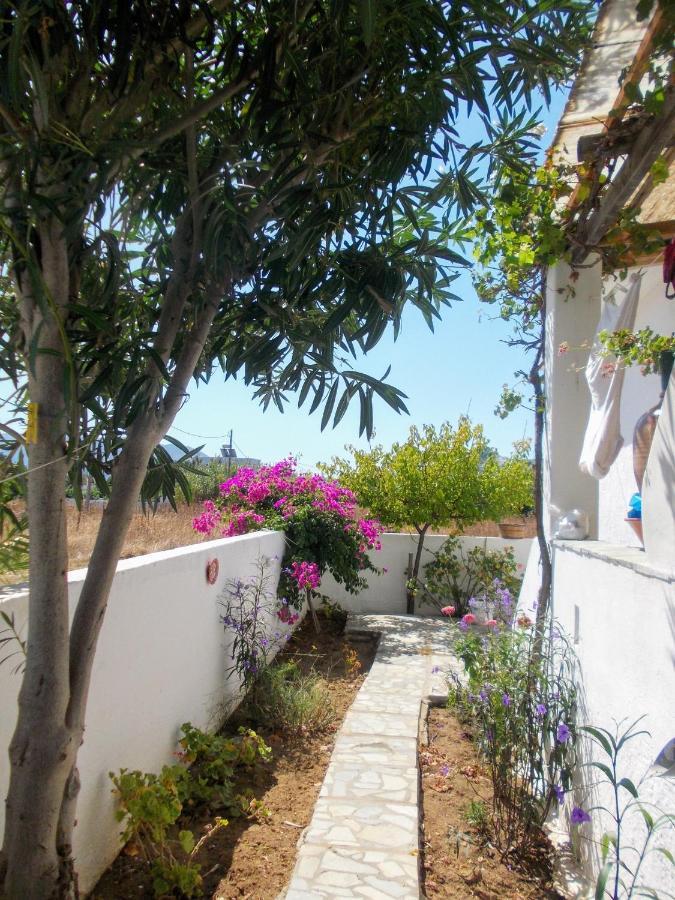 Nyfes Traditional Boutique Frosyni Skyros Exterior foto